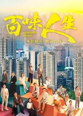 电视剧《去有风的地方》海报